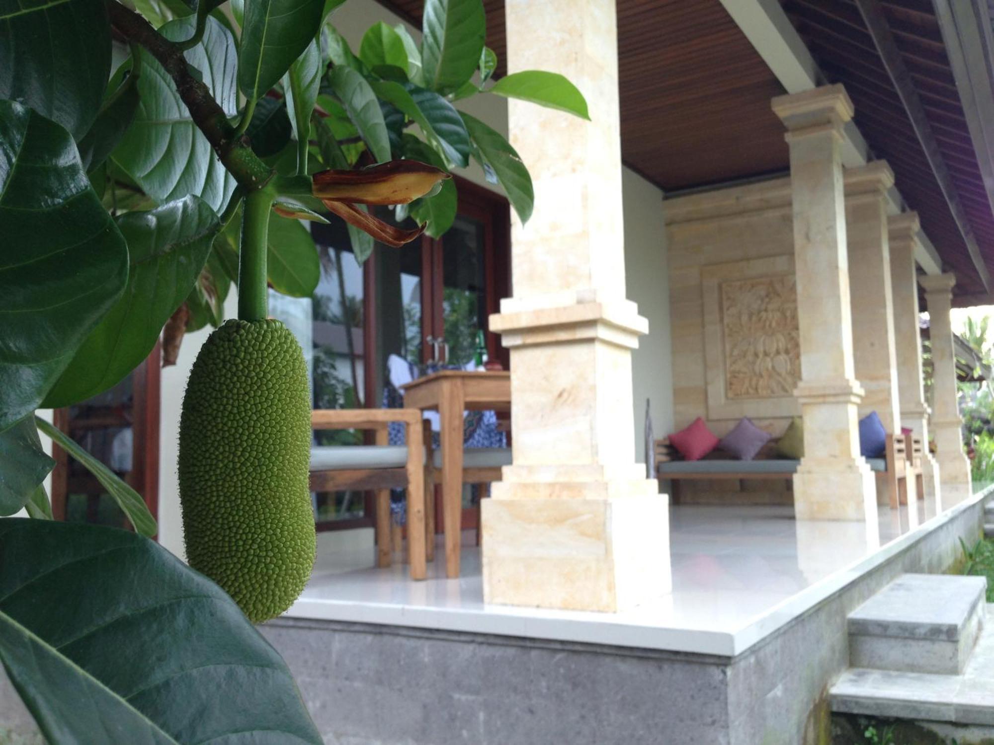 Masia Villa Ubud Exteriér fotografie