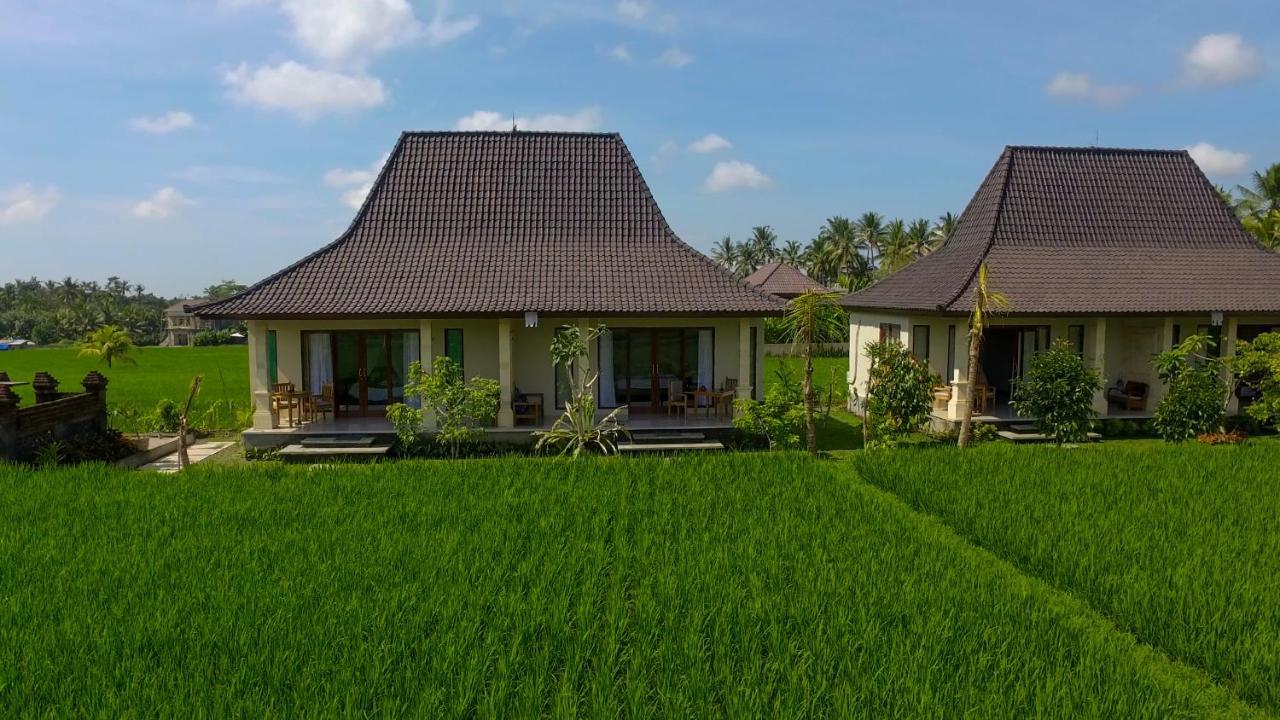 Masia Villa Ubud Exteriér fotografie